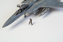 Fine Molds 1/72 F-15C Eagle ANG: 1766749688_DSC_8953.jpg