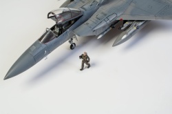 Fine Molds 1/72 F-15C Eagle ANG: 1766749688_DSC_8954.jpg