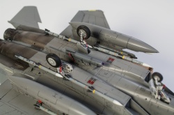 Fine Molds 1/72 F-15C Eagle ANG: 1766749689_DSC_9009.jpg