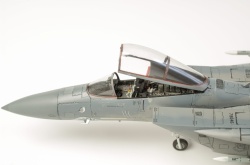 Fine Molds 1/72 F-15C Eagle ANG: 1766749690_DSC_9011.jpg
