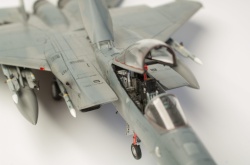 Fine Molds 1/72 F-15C Eagle ANG: 1766749691_DSC_9016.jpg