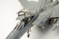 Fine Molds 1/72 F-15C Eagle ANG: 1766749691_DSC_9017.jpg