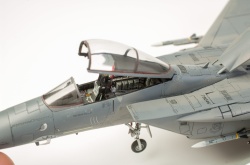 Fine Molds 1/72 F-15C Eagle ANG: 1766749692_DSC_9018.jpg