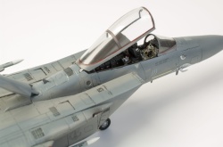 Fine Molds 1/72 F-15C Eagle ANG: 1766749692_DSC_9019.jpg