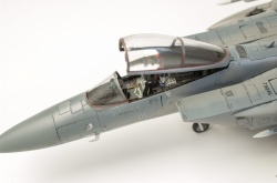 Fine Molds 1/72 F-15C Eagle ANG: 1766749693_DSC_9022.jpg