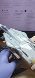 Hasegawa 1/72 F-14� Tomcat VF-111 Sundowners: 1768147569_photo_2026-01-11_19-05-48.jpg