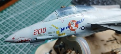 Hasegawa 1/72 F-14� Tomcat VF-111 Sundowners: 1768147781_photo_2026-01-11_19-08-05.jpg