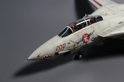 Hasegawa 1/72 F-14� Tomcat VF-111 Sundowners: 1768148252_IMG_5723.jpg