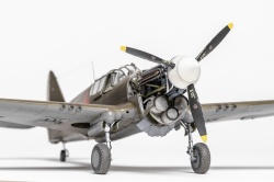 Eduard 1/48 P-40E Warhawk c �������� �������: 1770388695_3C7A7052.jpg