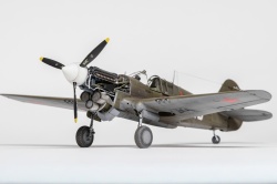 Eduard 1/48 P-40E Warhawk c êðàñíûìè çâåçäàì: 1770388802_3C7A7059.jpg