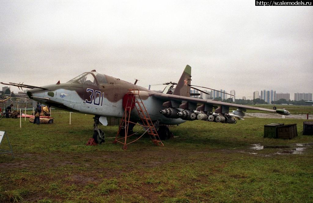 1775148174_3817799168_d634d47625_b-jk.jpg : #1909389/ ������� �� ���� ������� ����