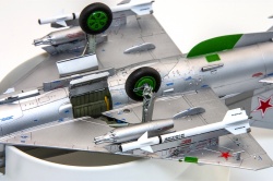 Eduard 1/48 ���-21���: 1775572661_mig-21smt_43.jpg