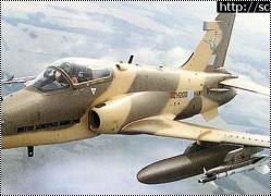   1/48  BAe Hawk 100 (NeOmega)