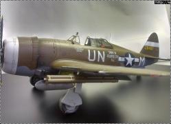 Tamiya 1/48 P-47D Thunderbolt Razorback -   .