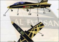 DM Special Color Декаль Aermacchi MB-339 - Черное золото золотых песков