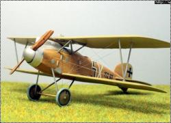 Roden 1/72 Albatros D.III 153.80 Julius Arigi -   