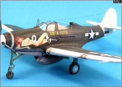 Eduard 1/48 P-400 Air-A-Cutie