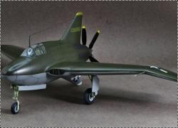 Czech Model 1/48 Northrop XP-56 Black bullet