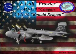 Hasegawa 1/72 EA-6B Prowler