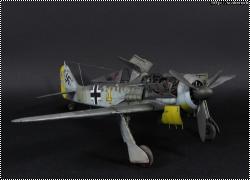 Eduard 1/48 FW 190A-4 Oblt. S. Schnell, CO of 9./JG 2