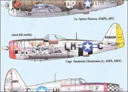  Lifelike Decals 1/72 P-47D Thunderbolt
