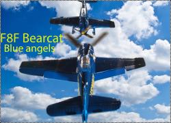 Novo 1/72 F8F Bearcat - Голубой монохром или Толерантный ангел Лероя Груммана