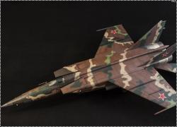 ICM 1/48 -25