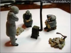 Wolf 1/35 -     .