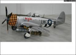 Academy 1/48 P-47D Thunderbolt -   