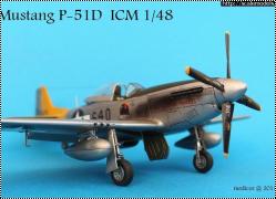 ICM 1/48 P-51D Mustang Shawnee Prinsess