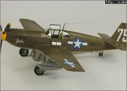 Accurate Miniatures 1/48 P-51A Mustang