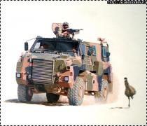  Showcase 1/35 Bushmaster -    