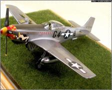 Hasegawa 1/48 P-51D Mustang