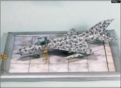 Eduard 1/48 -21 -  