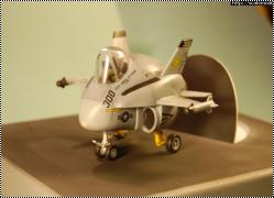 Hasegawa  -    
