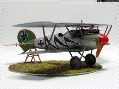 Eduard 1/48 Albatros D.V   