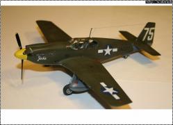 Accurate Miniatures 1/48 P-51A Mustang Jackie