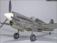 Hasegawa 1/48 P-40K Kittyhawk -    ...