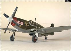 Tamyia 1/48 P-51B Mustang