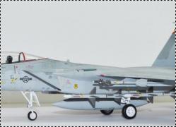 Hasegawa 1/72 F-15C Eagle