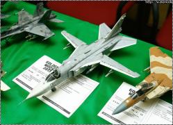 Путешествие в Ригу на выставку Golden Model 2013