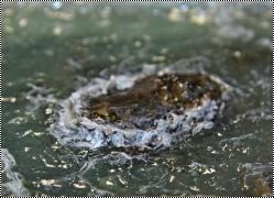 Как сделать водную поверхность? - Мои эксперименты