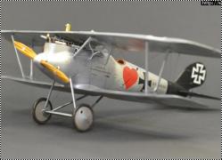 Roden 1/32 Pfalz D.III