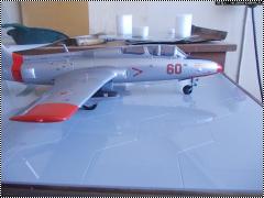  1/24 L-29 Delfin