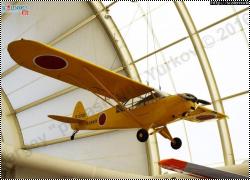 Walkaround    Piper L-21B 135 Super Cub, Tokorozawa Aviation Museum, Japan