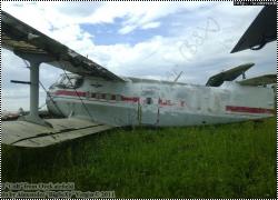 Walkaround Ан-2 б/н 03, аэродром Оёк, Иркутская область, Россия