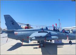 Walkaround Leonardo-Aeromacchi M345 HET, -