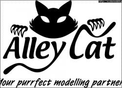 Новинка от Alley Cat: 1/48 Sea Vixen FAW.1 Conversion Set