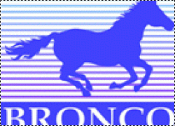   Bronco Models