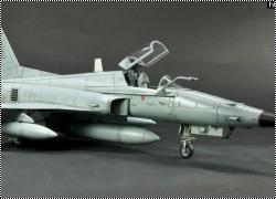 Новинка AFV Club: 1/48 F-5E TIGER III CHILE & MOROCCO AIR FORCE